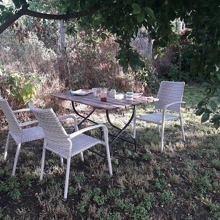 Villa Joevo Het Pihenohaz Poroszló Exterior foto