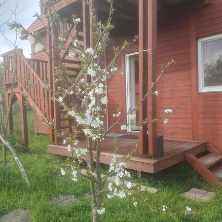 Villa Joevo Het Pihenohaz Poroszló Exterior foto