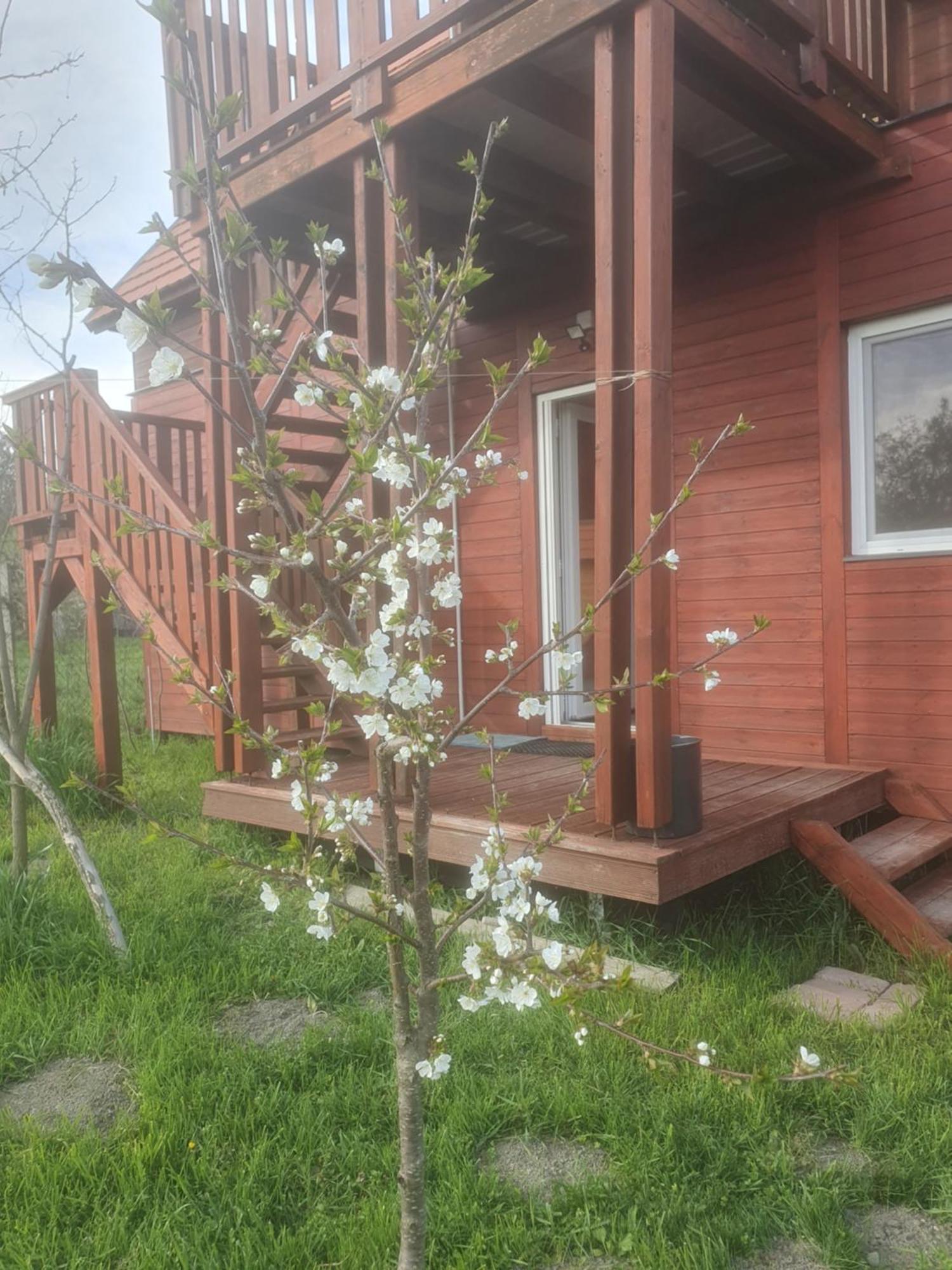 Villa Joevo Het Pihenohaz Poroszló Exterior foto
